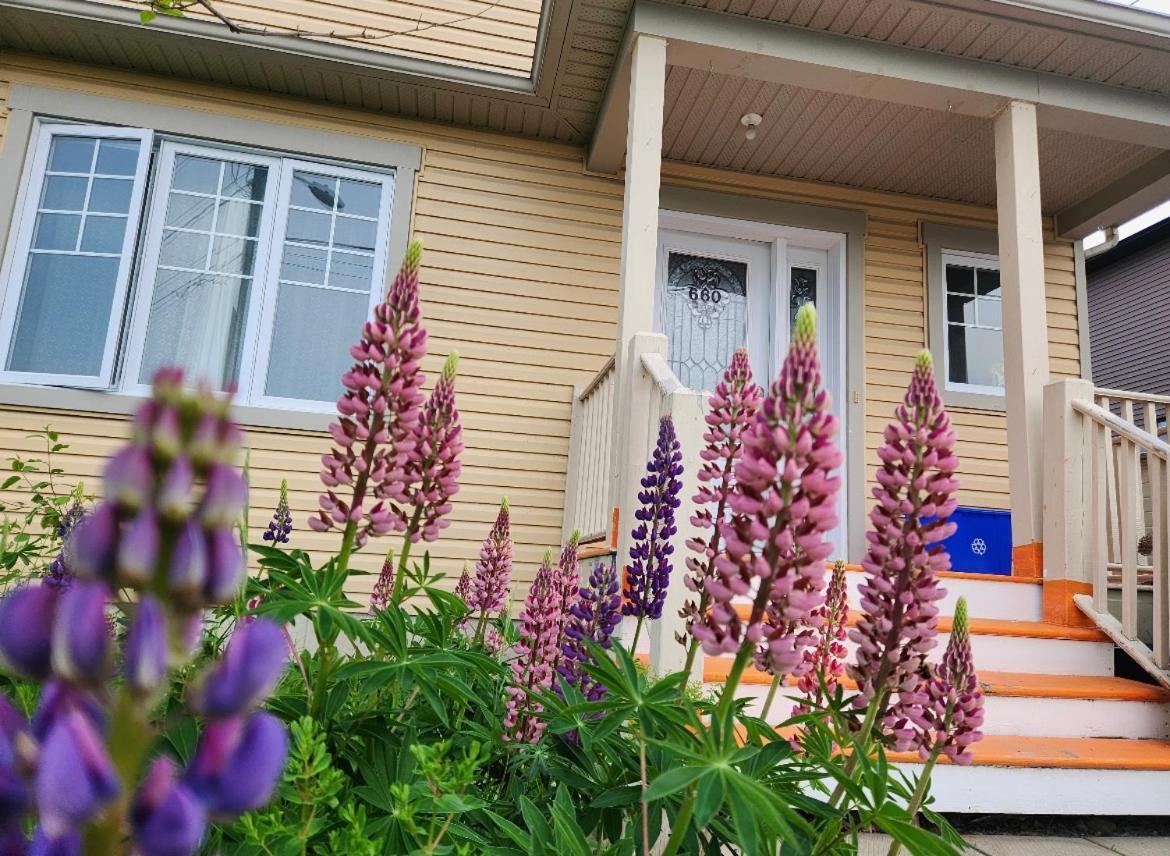 Maison Chaleureuse, Energetique Et Florale Sherbrooke Exterior foto